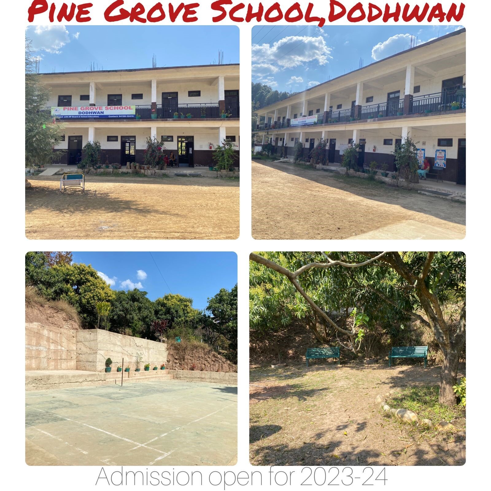 Pine Grove School